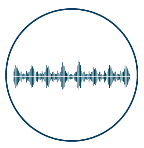 Explainer Video Service