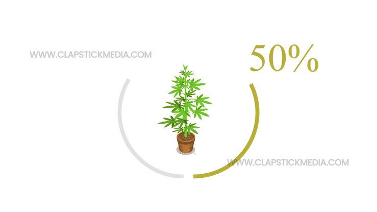 Isometric corporate explainer video